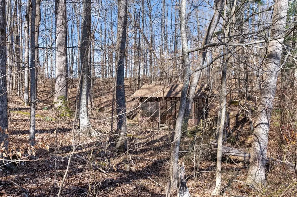 236 Landmark Lane Hilham TN 38568