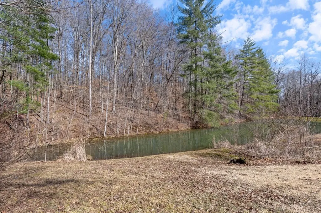 236 Landmark Lane Hilham TN 38568