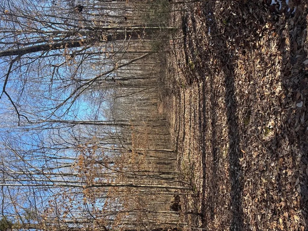 236 Landmark Lane Hilham TN 38568