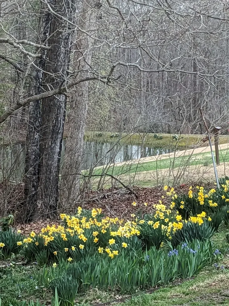 236 Landmark Lane Hilham TN 38568