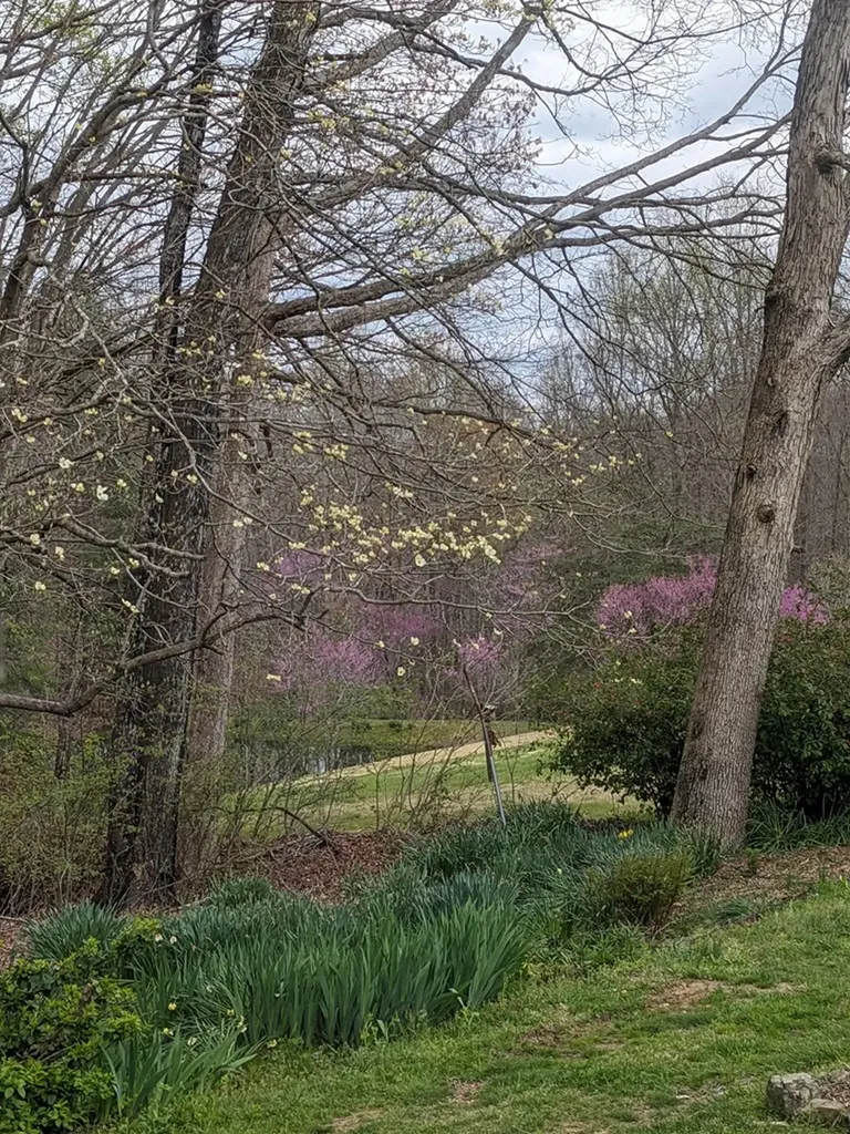 236 Landmark Lane Hilham TN 38568