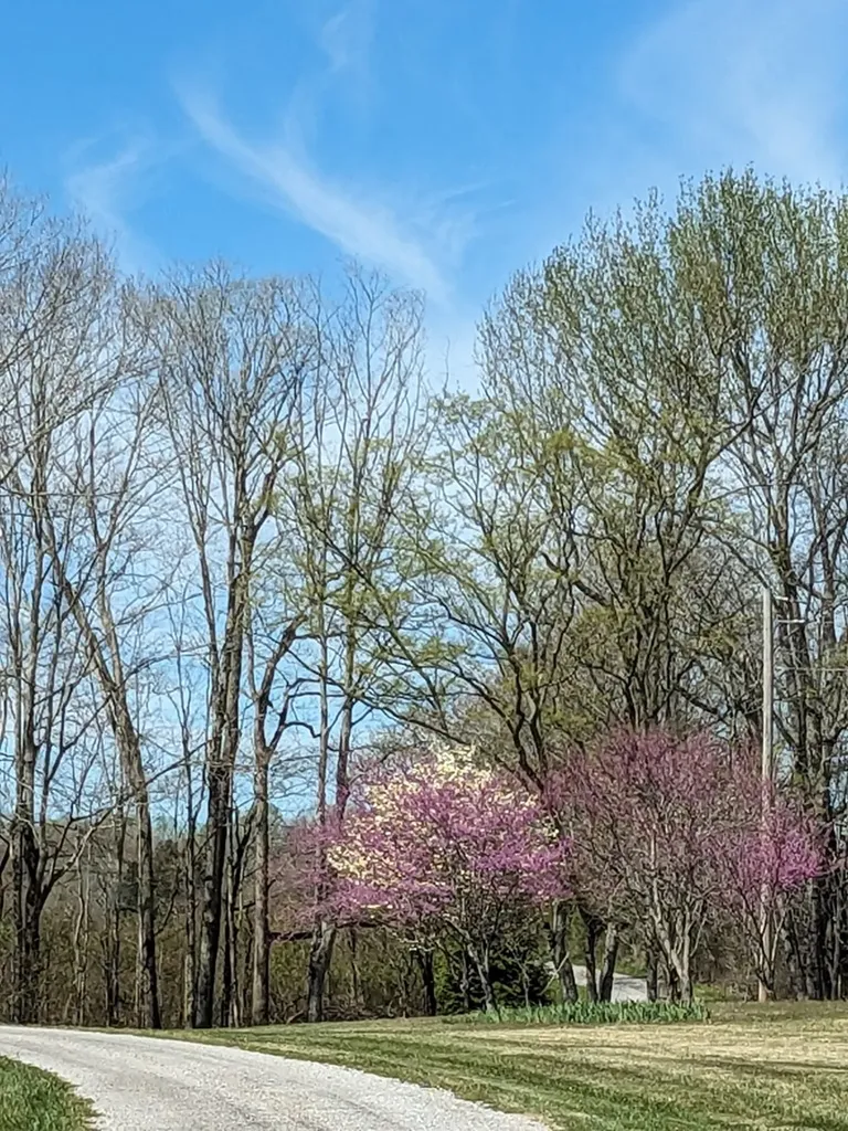 236 Landmark Lane Hilham TN 38568