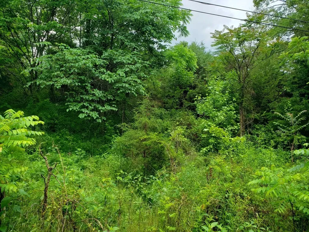842 Dave England Road Sparta TN 38583