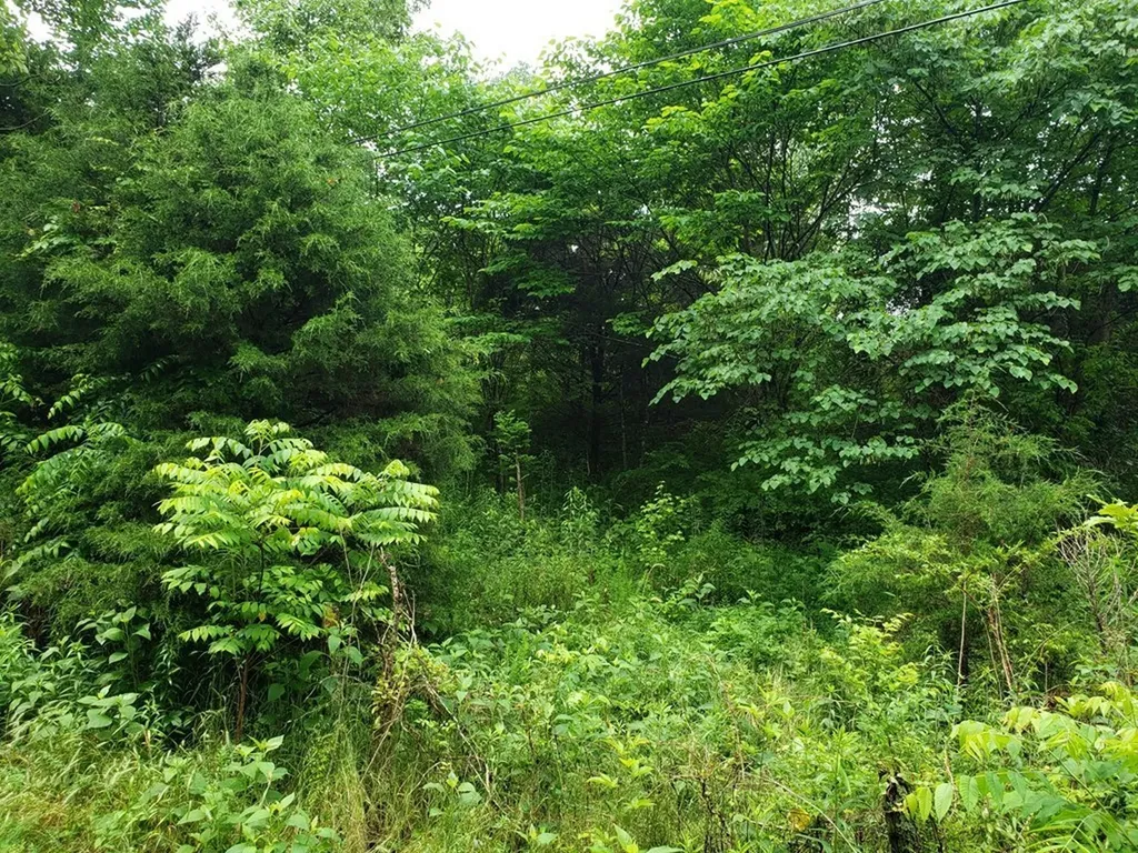 842 Dave England Road Sparta TN 38583