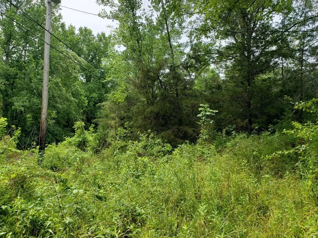 842 Dave England Road Sparta TN 38583