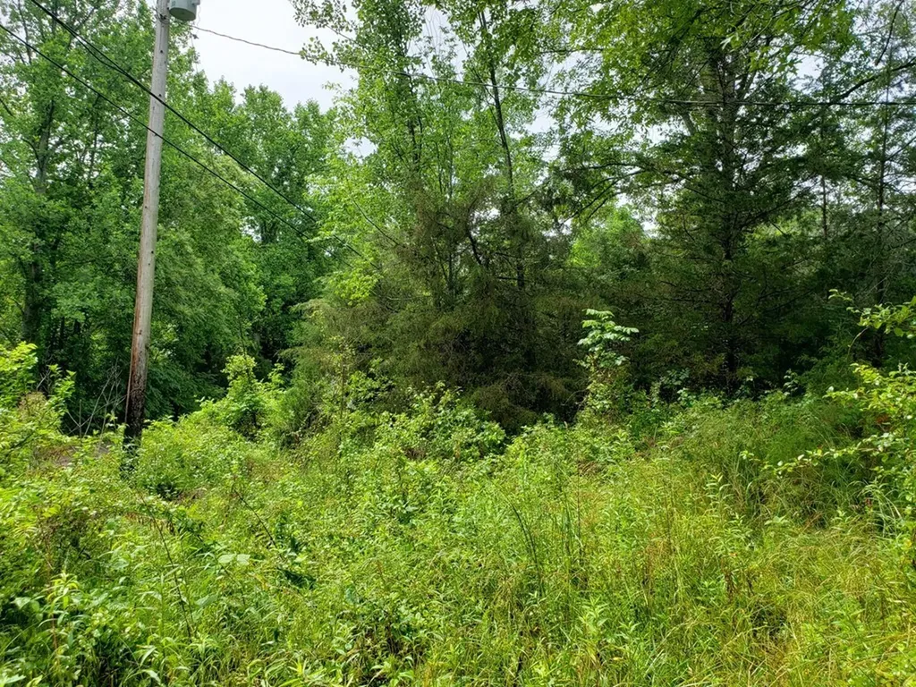 842 Dave England Road Sparta TN 38583