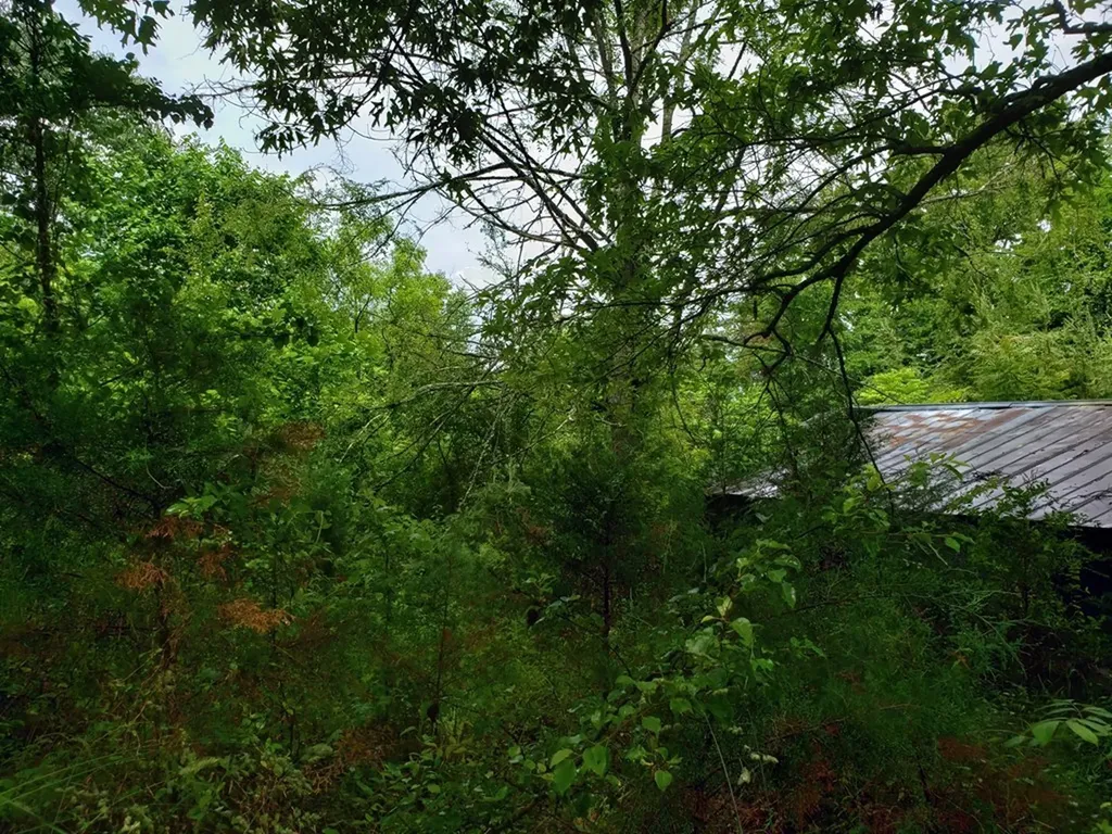 842 Dave England Road Sparta TN 38583