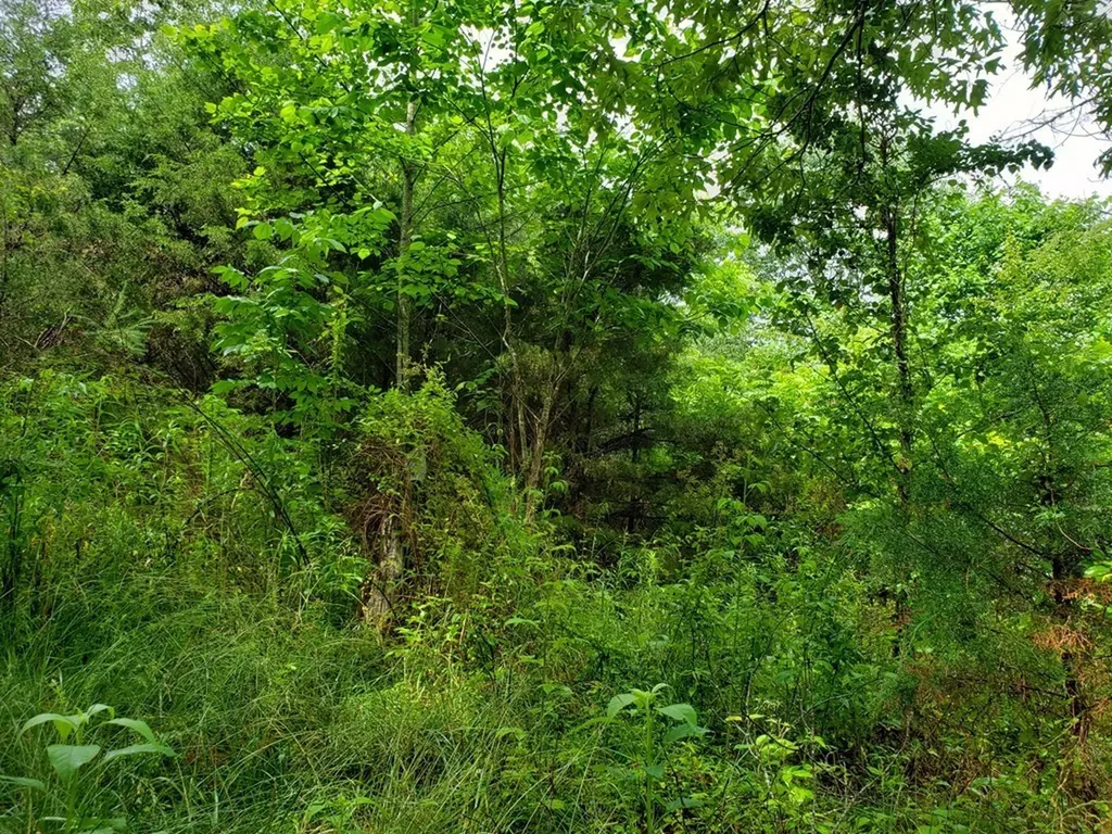842 Dave England Road Sparta TN 38583
