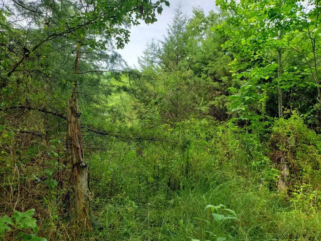 842 Dave England Road Sparta TN 38583