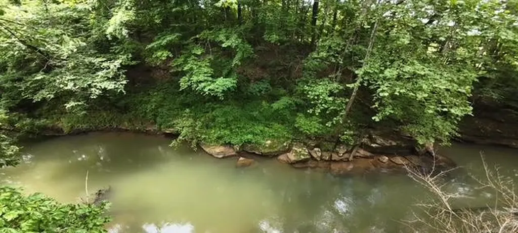 738 Blue Water Dr_lot 30 Cookeville TN 38506