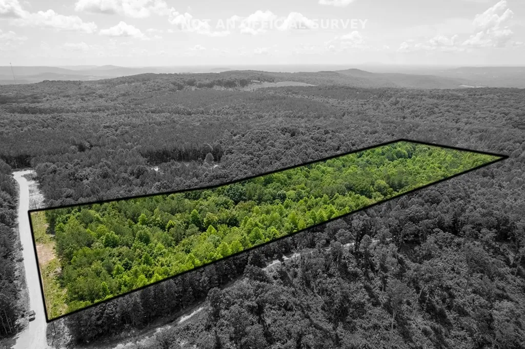 0 Topside Dr Lot 50 Spencer TN 38585