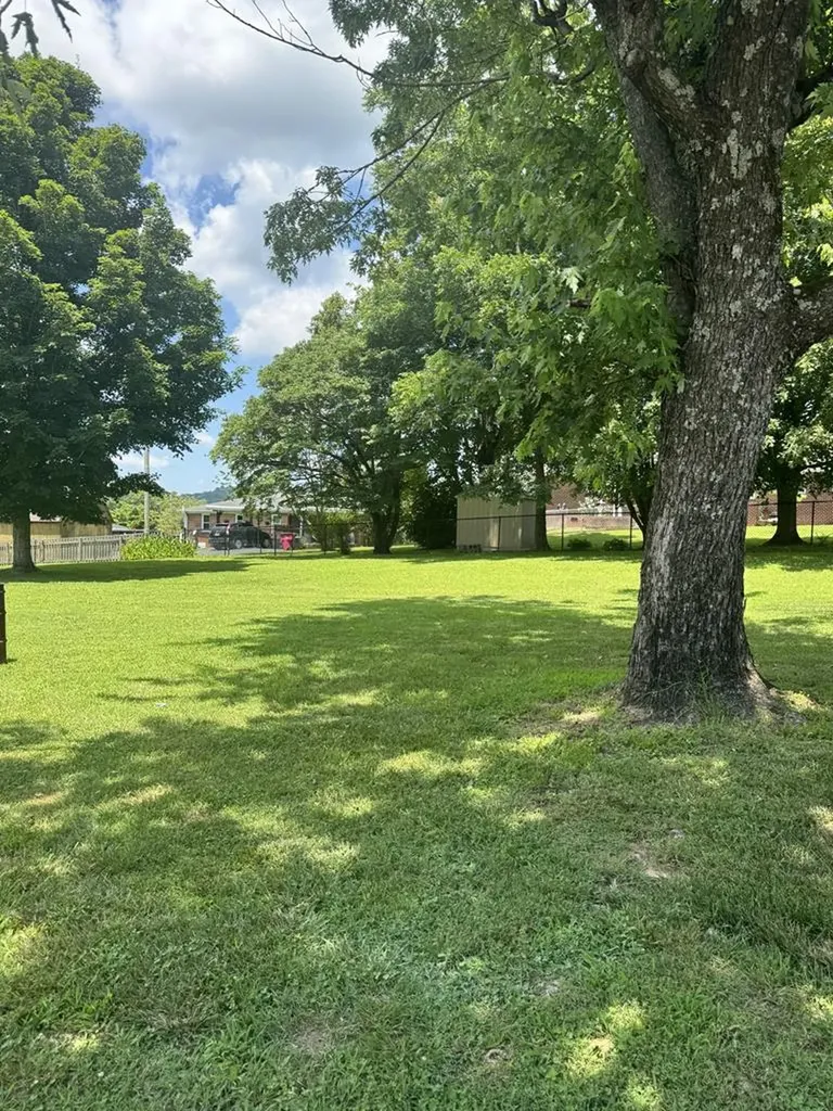 625 College Avenue E Carthage TN 37030