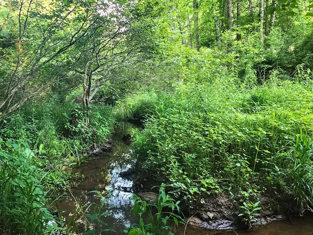 3121 Coon Hunter Lodge Road Jamestown TN 38556