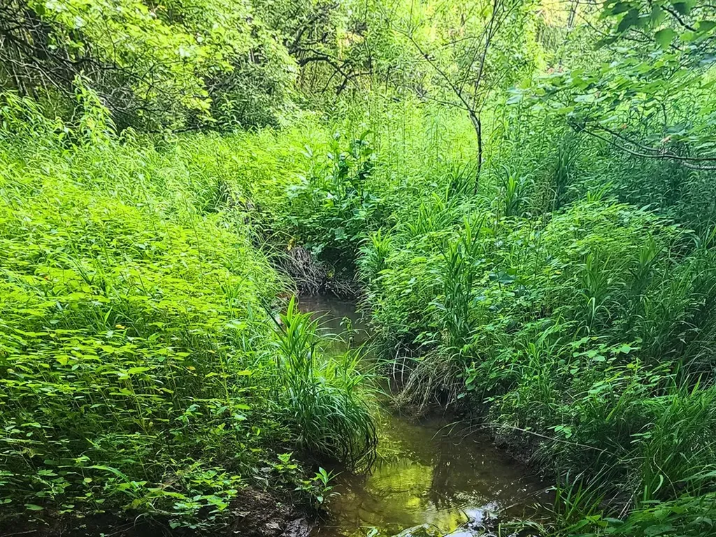3121 Coon Hunter Lodge Road Jamestown TN 38556