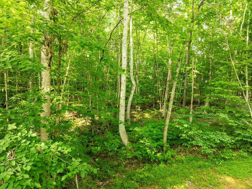 0 Oak Hill Road Byrdstown TN 38549