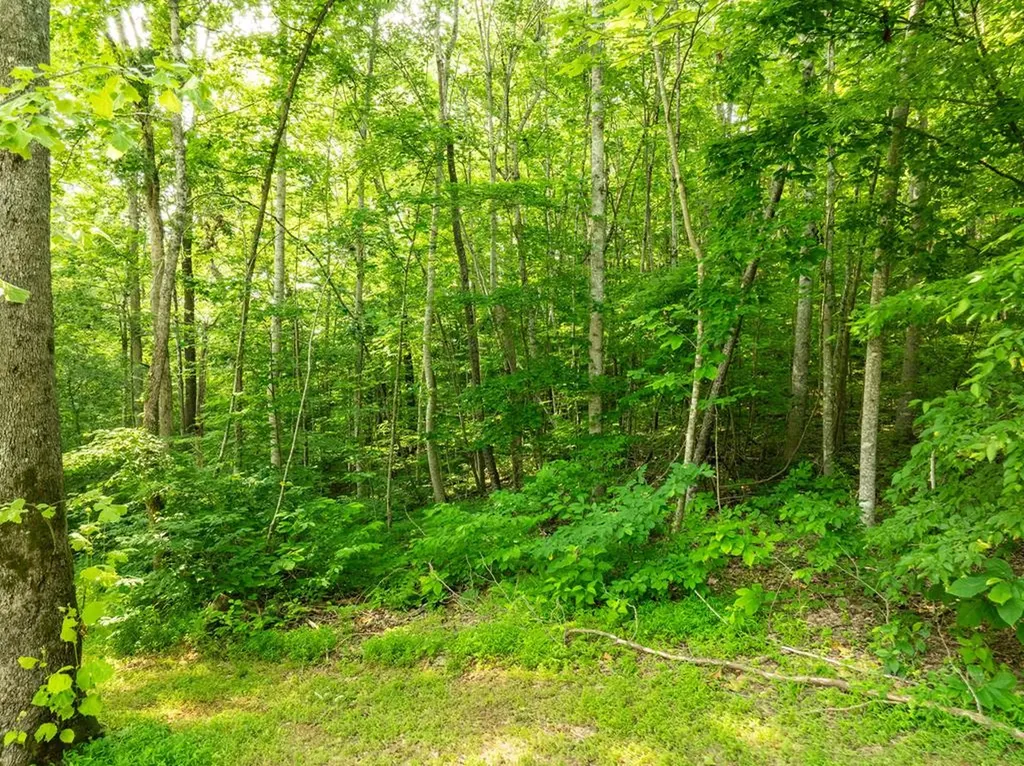 0 Oak Hill Road Byrdstown TN 38549