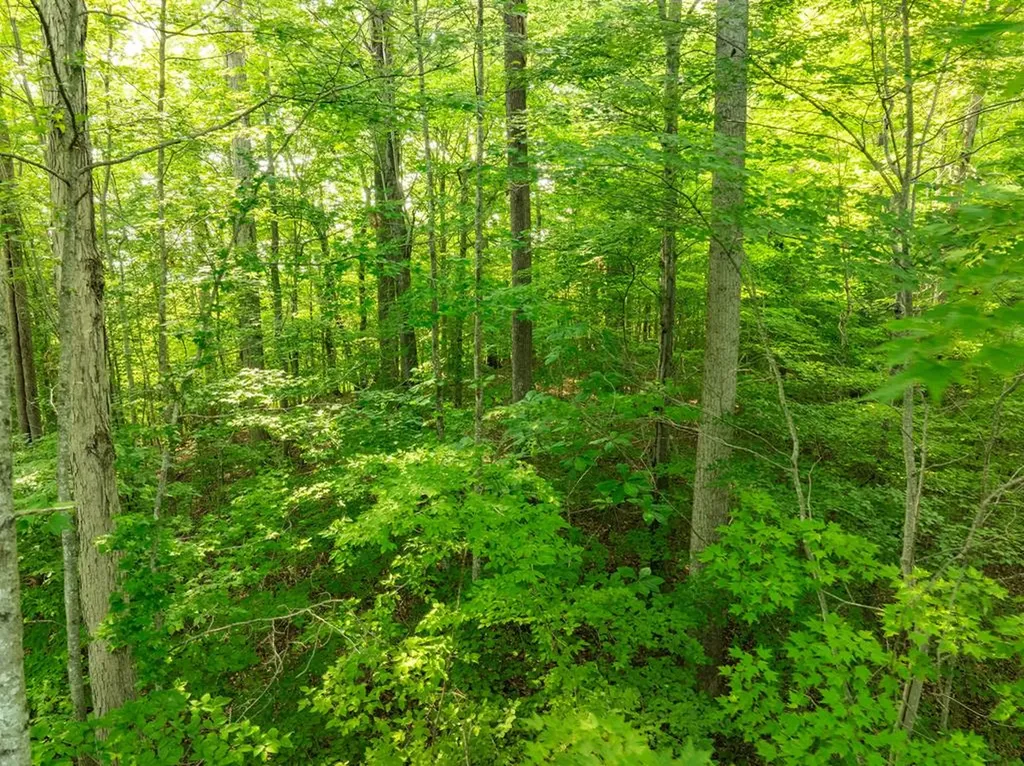 0 Oak Hill Road Byrdstown TN 38549