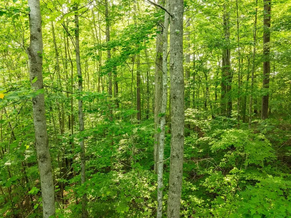 0 Oak Hill Road Byrdstown TN 38549