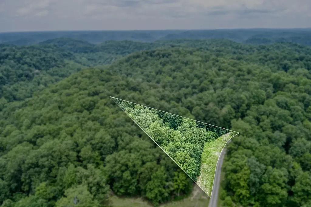 3.12 Ac Twin Oak Lane Gainesboro TN 38562