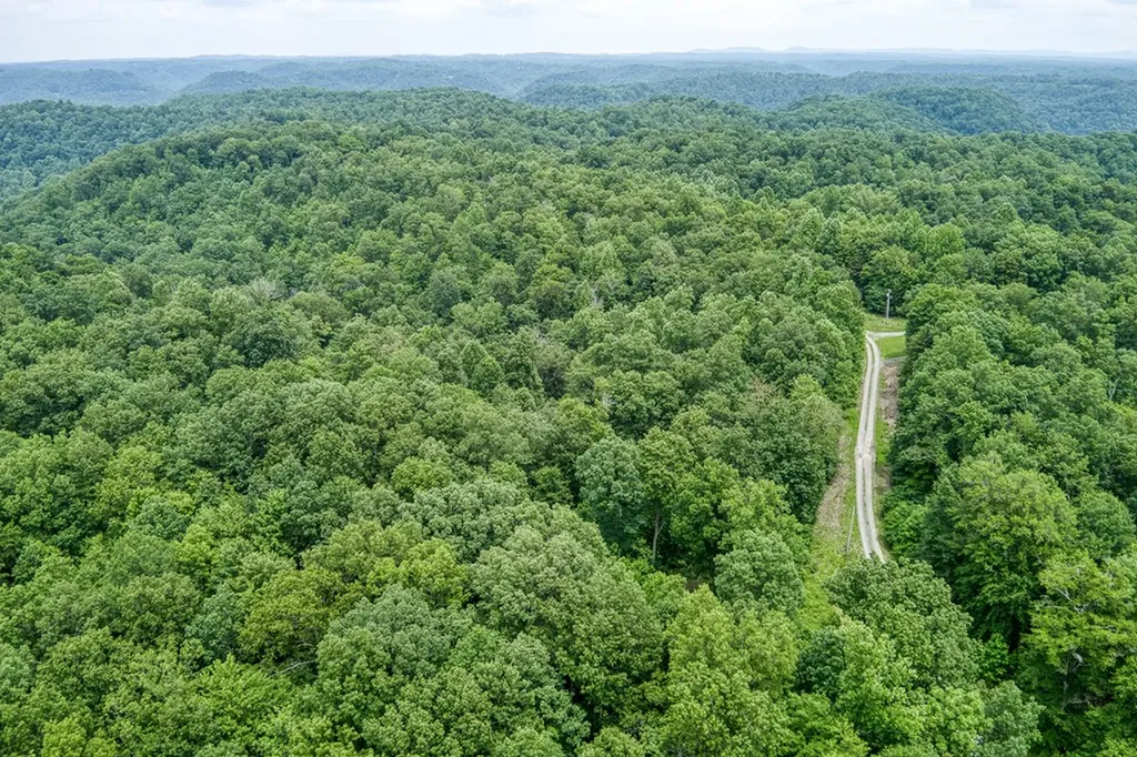 3.12 Ac Twin Oak Lane Gainesboro TN 38562