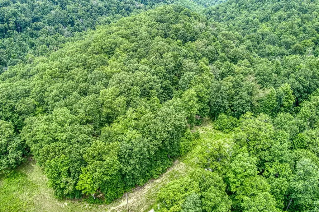 3.12 Ac Twin Oak Lane Gainesboro TN 38562