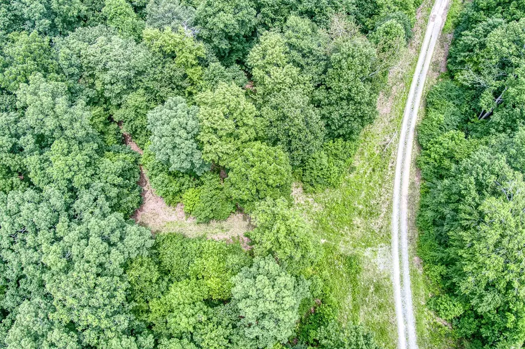 3.12 Ac Twin Oak Lane Gainesboro TN 38562
