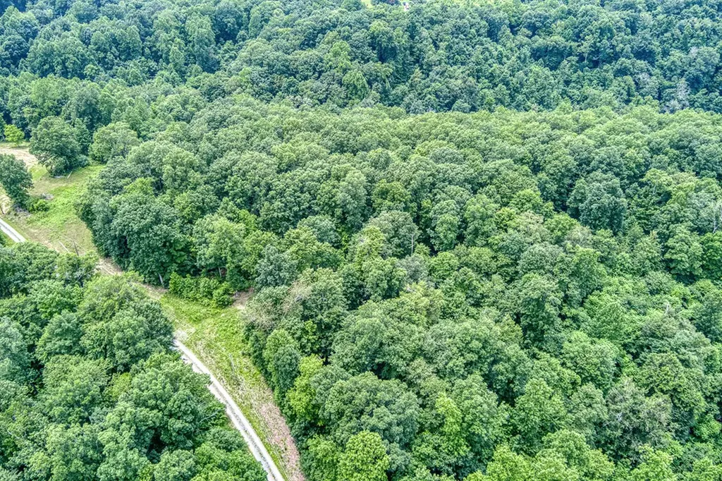 3.12 Ac Twin Oak Lane Gainesboro TN 38562