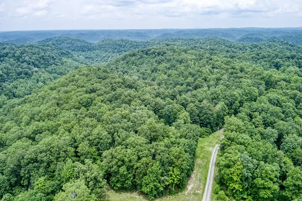 3.12 Ac Twin Oak Lane Gainesboro TN 38562