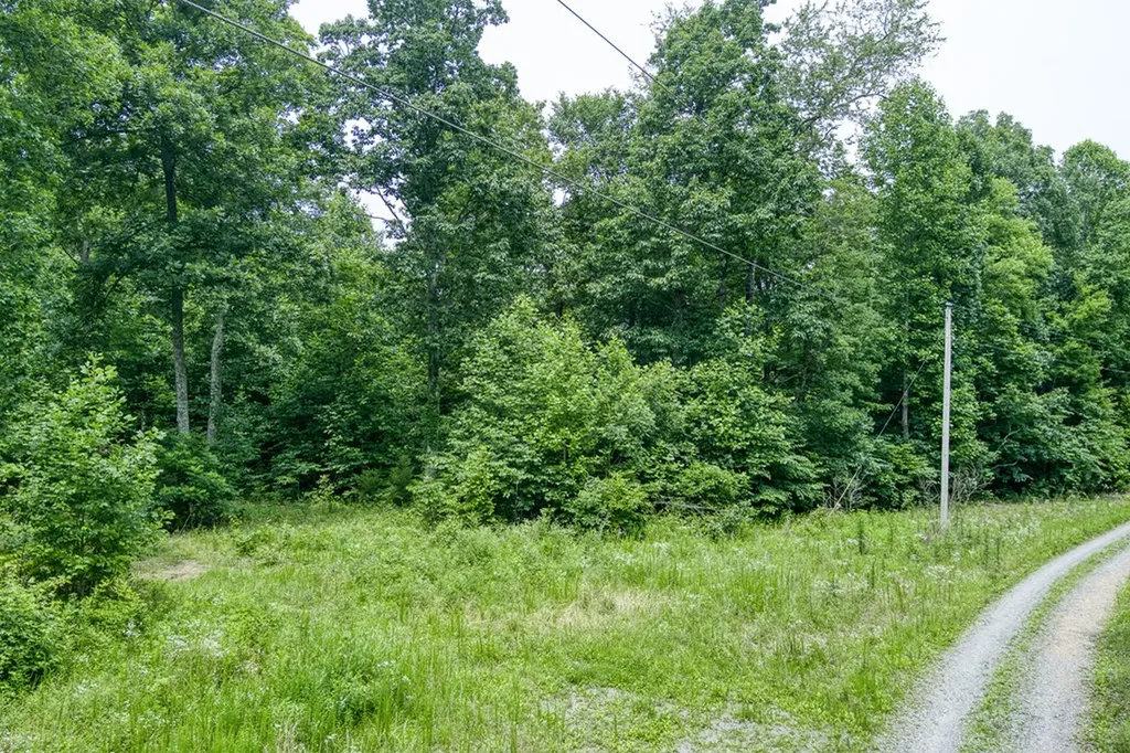 3.12 Ac Twin Oak Lane Gainesboro TN 38562