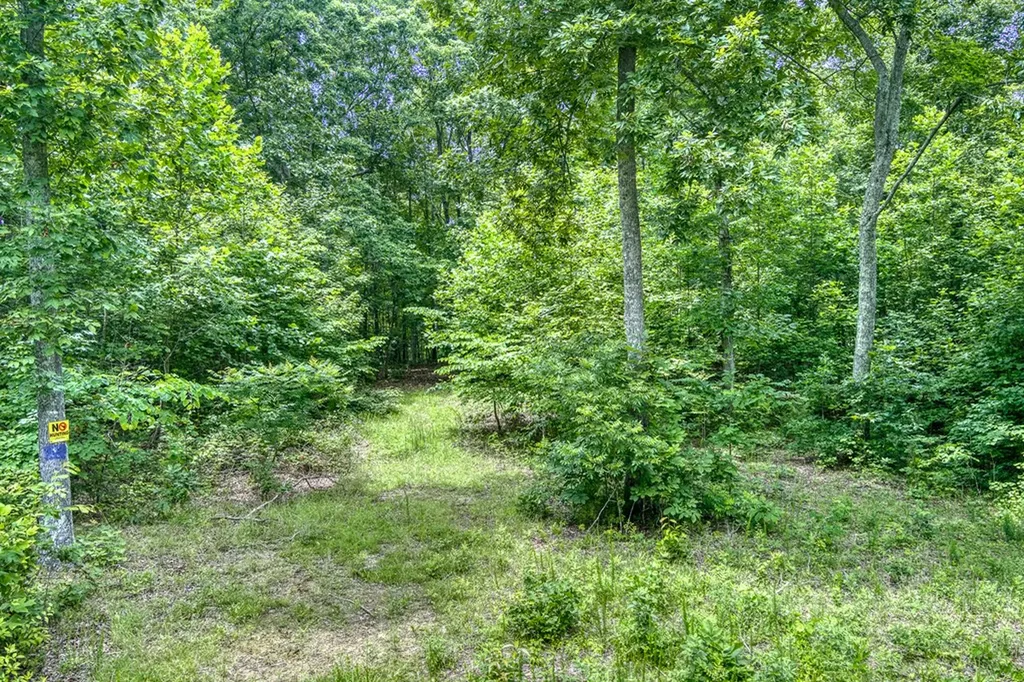 3.12 Ac Twin Oak Lane Gainesboro TN 38562