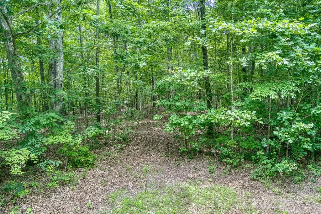 3.12 Ac Twin Oak Lane Gainesboro TN 38562