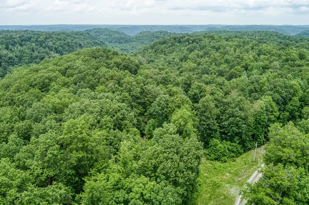 3.12 Ac Twin Oak Lane Gainesboro TN 38562