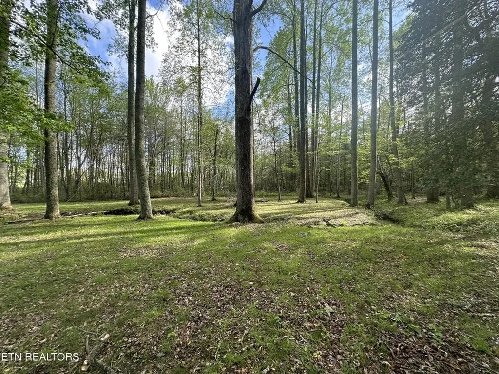 1028 Kennedy Road Jamestown TN 38556