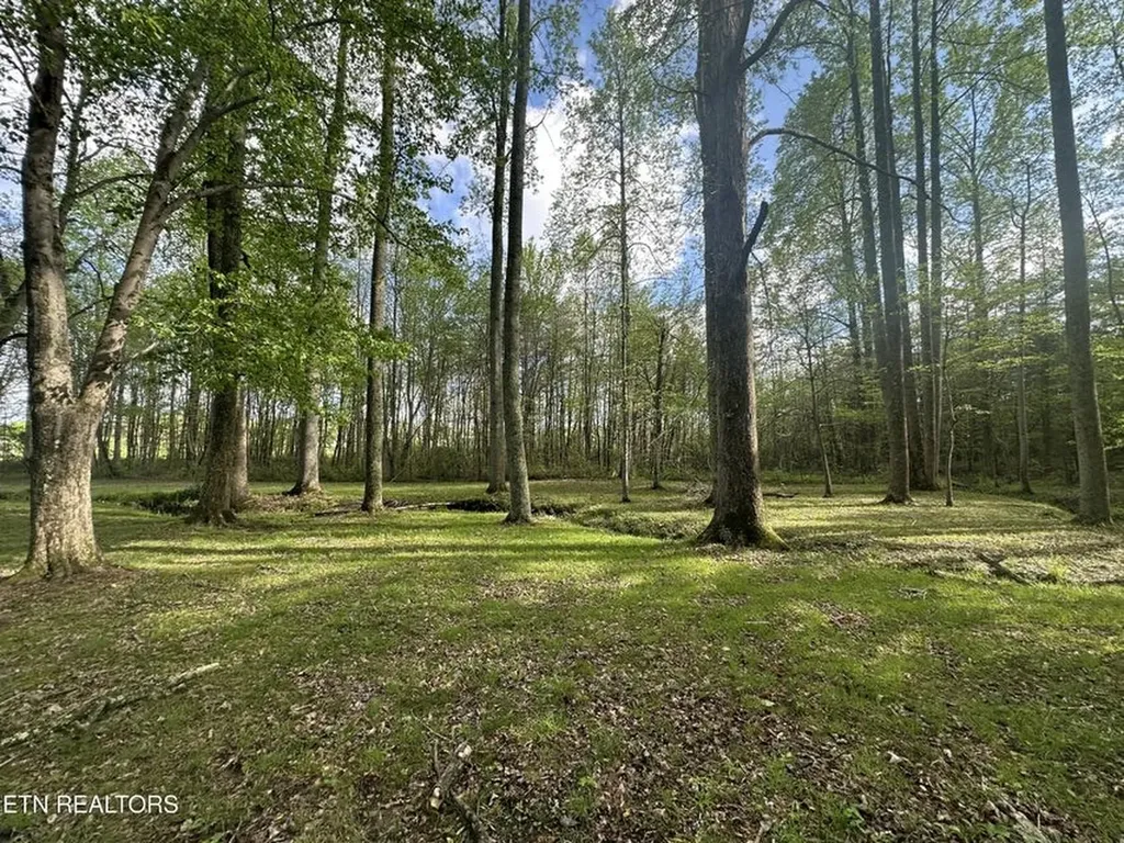 1028 Kennedy Road Jamestown TN 38556