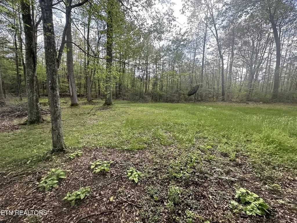 1028 Kennedy Road Jamestown TN 38556