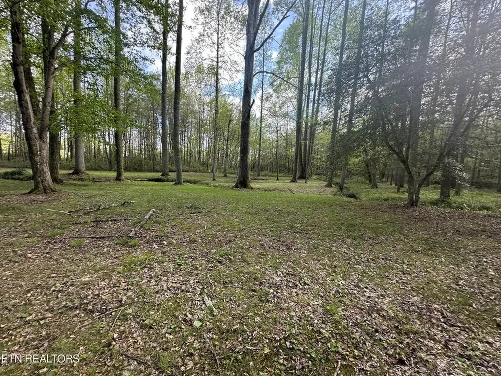 1028 Kennedy Road Jamestown TN 38556