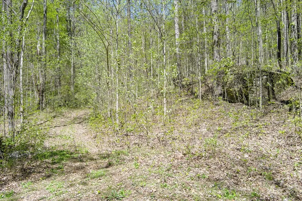 0 Pawnee Lane Jamestown TN 38556
