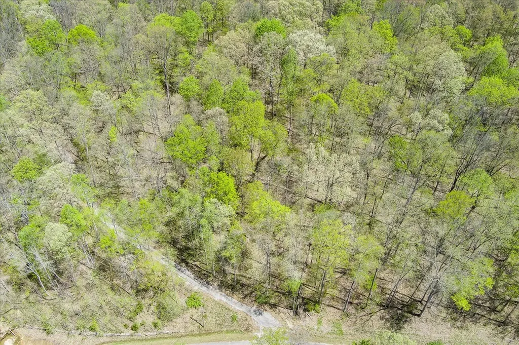0 Pawnee Lane Jamestown TN 38556