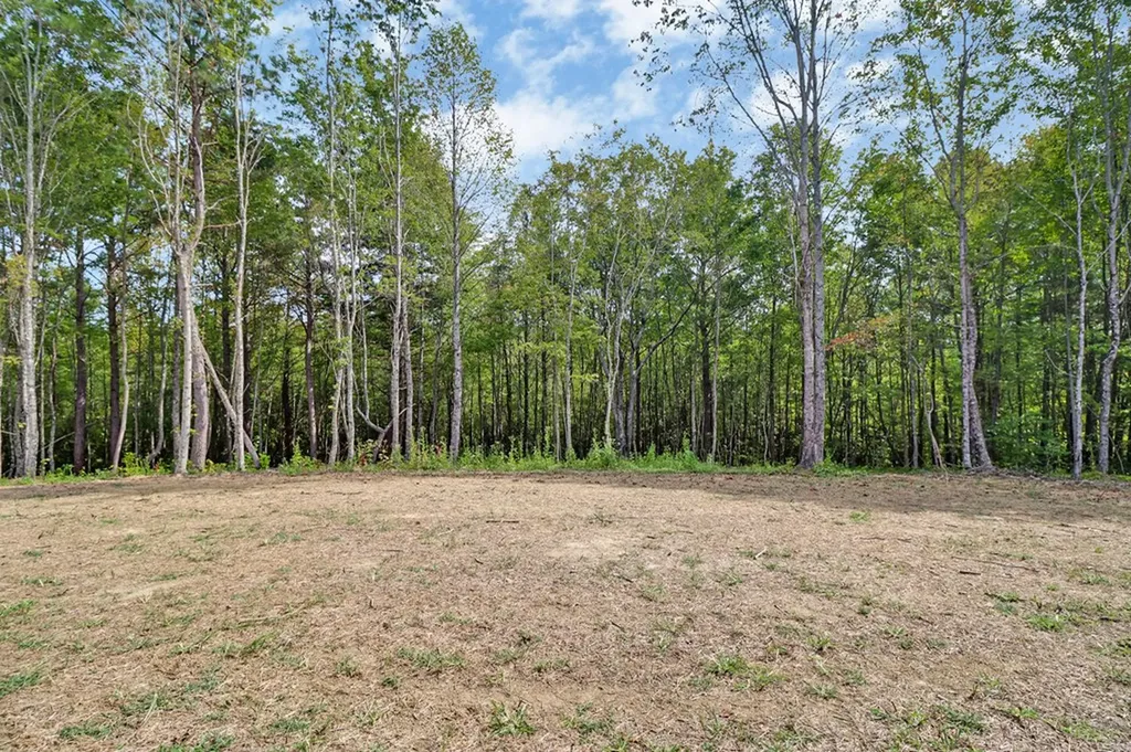 1119 Nichol Creek Drive Jamestown TN 38556