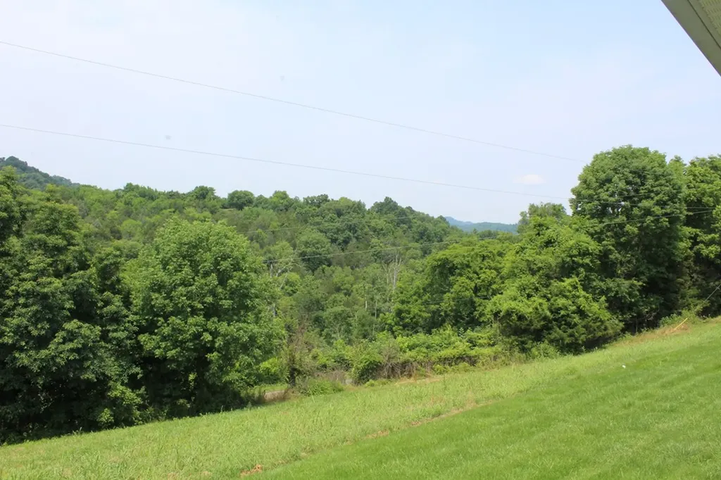 1028 Huff Hollow Road Granville TN 38564