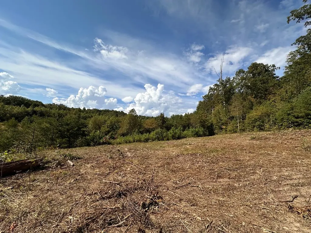 13.44 Ac Chestnut Ridge Road Allardt TN 38504