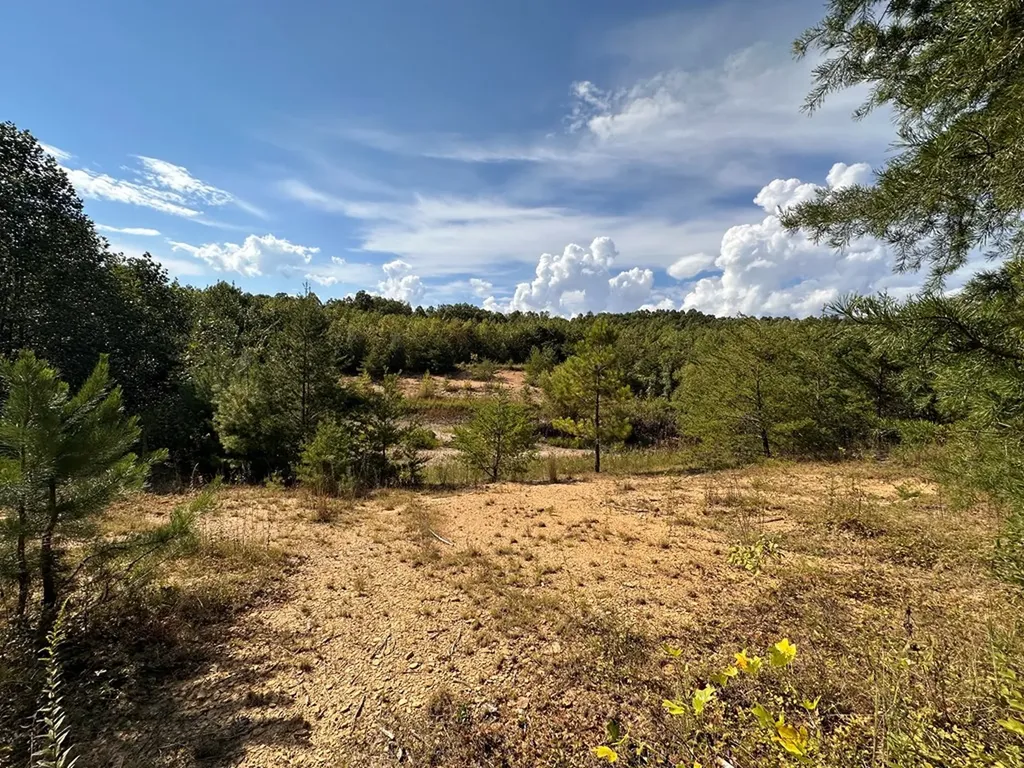 13.44 Ac Chestnut Ridge Road Allardt TN 38504
