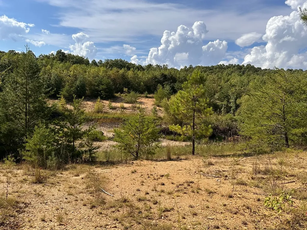 13.44 Ac Chestnut Ridge Road Allardt TN 38504