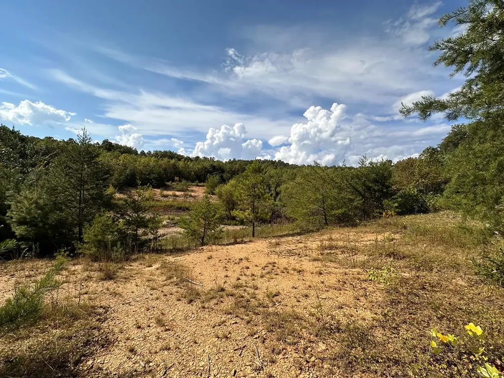 13.44 Ac Chestnut Ridge Road Allardt TN 38504