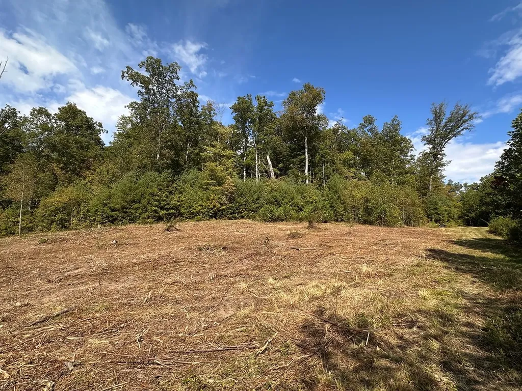 13.44 Ac Chestnut Ridge Road Allardt TN 38504