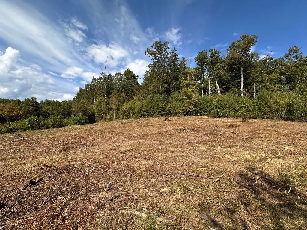 13.44 Ac Chestnut Ridge Road Allardt TN 38504