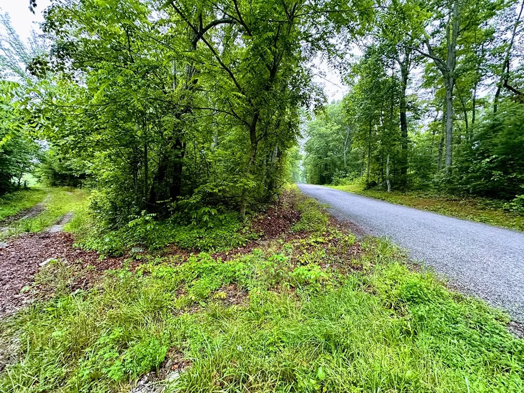 13.44 Ac Chestnut Ridge Road Allardt TN 38504