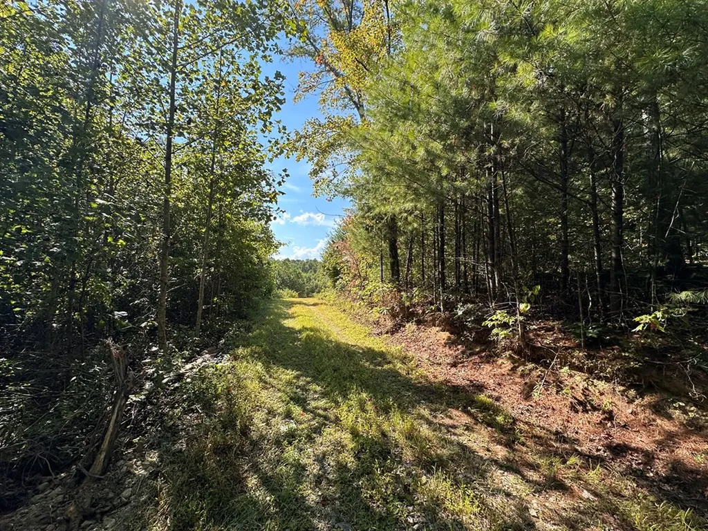 13.44 Ac Chestnut Ridge Road Allardt TN 38504