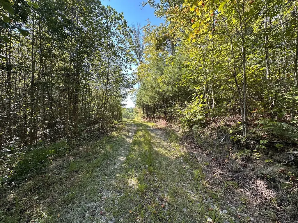 13.44 Ac Chestnut Ridge Road Allardt TN 38504