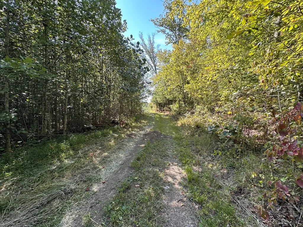 13.44 Ac Chestnut Ridge Road Allardt TN 38504